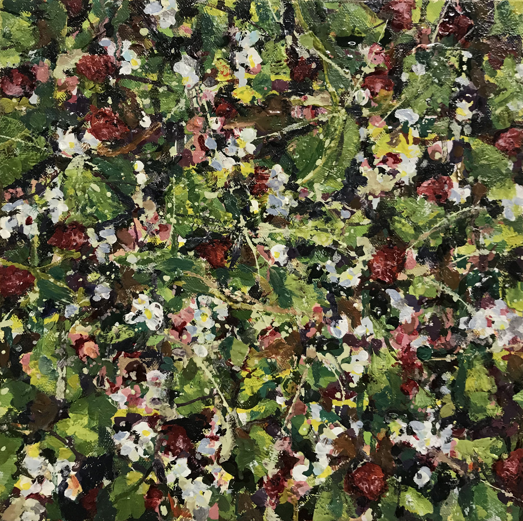 Ground Cover